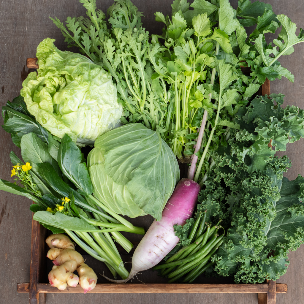 HOMEMAKERSの旬野菜セット