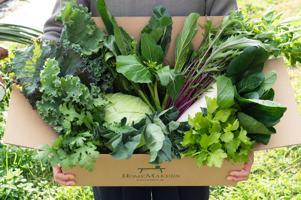 今週のHOMEMAKERS野菜（2025/12/1-12/7）