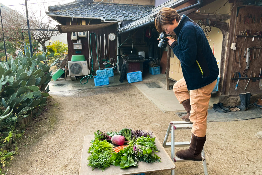 2025年 1年間撮り続けた『旬野菜セット』の記録