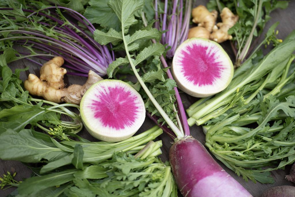 今週のHOMEMAKERS野菜（2025/12/8-12/14）