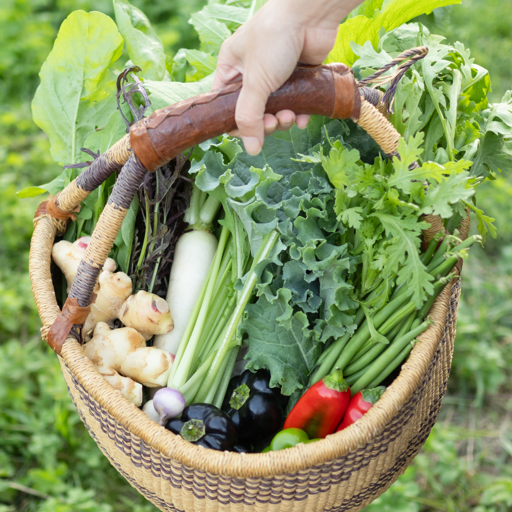 HOMEMAKERSの旬野菜セット