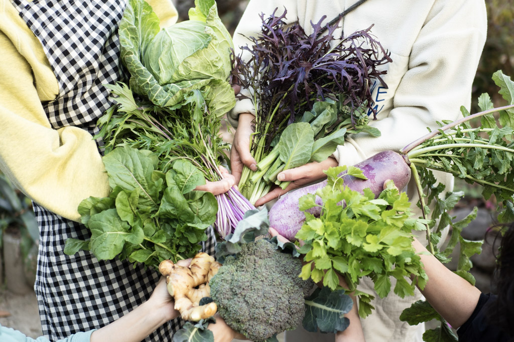 今週のHOMEMAKERS野菜（2026/1/5-1/11）