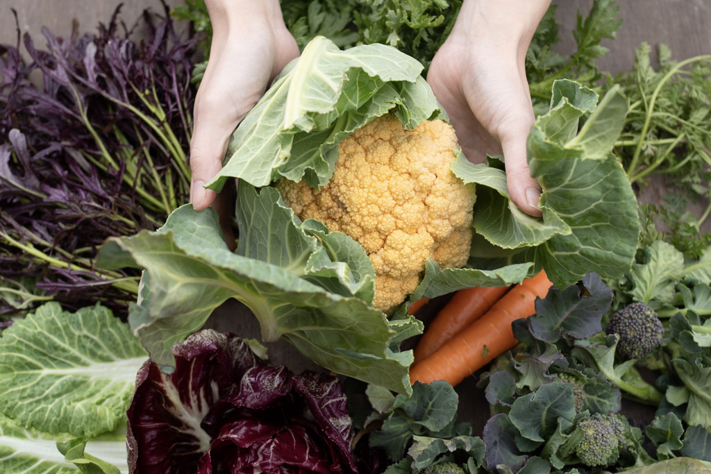 今週のHOMEMAKERS野菜(2026/3/2-3/8)