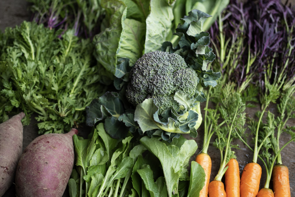 今週のHOMEMAKERS野菜（2026/3/9-3/15）