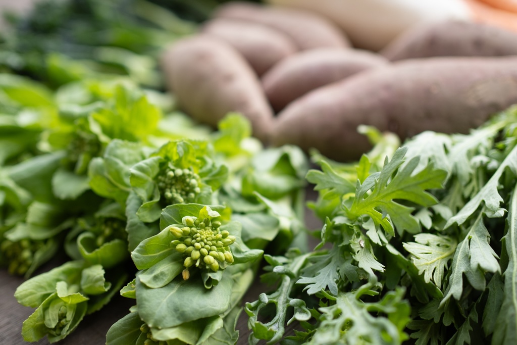 今週のHOMEMAKERS野菜(2026/3/16-3/22)