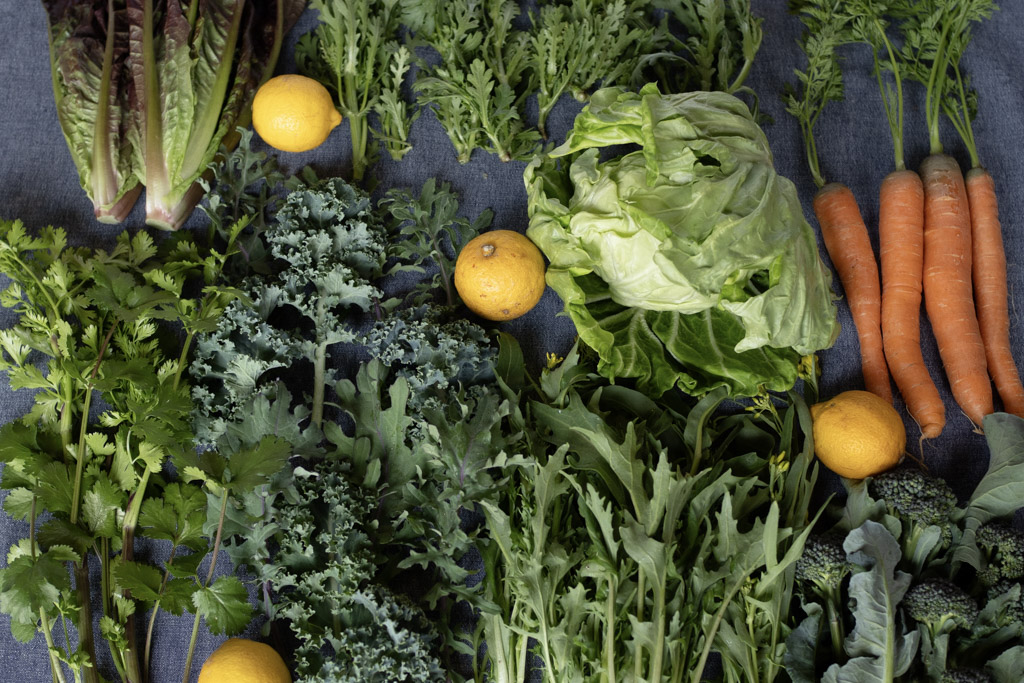 今週のHOMEMAKERS野菜（2026/4/13-4/19）