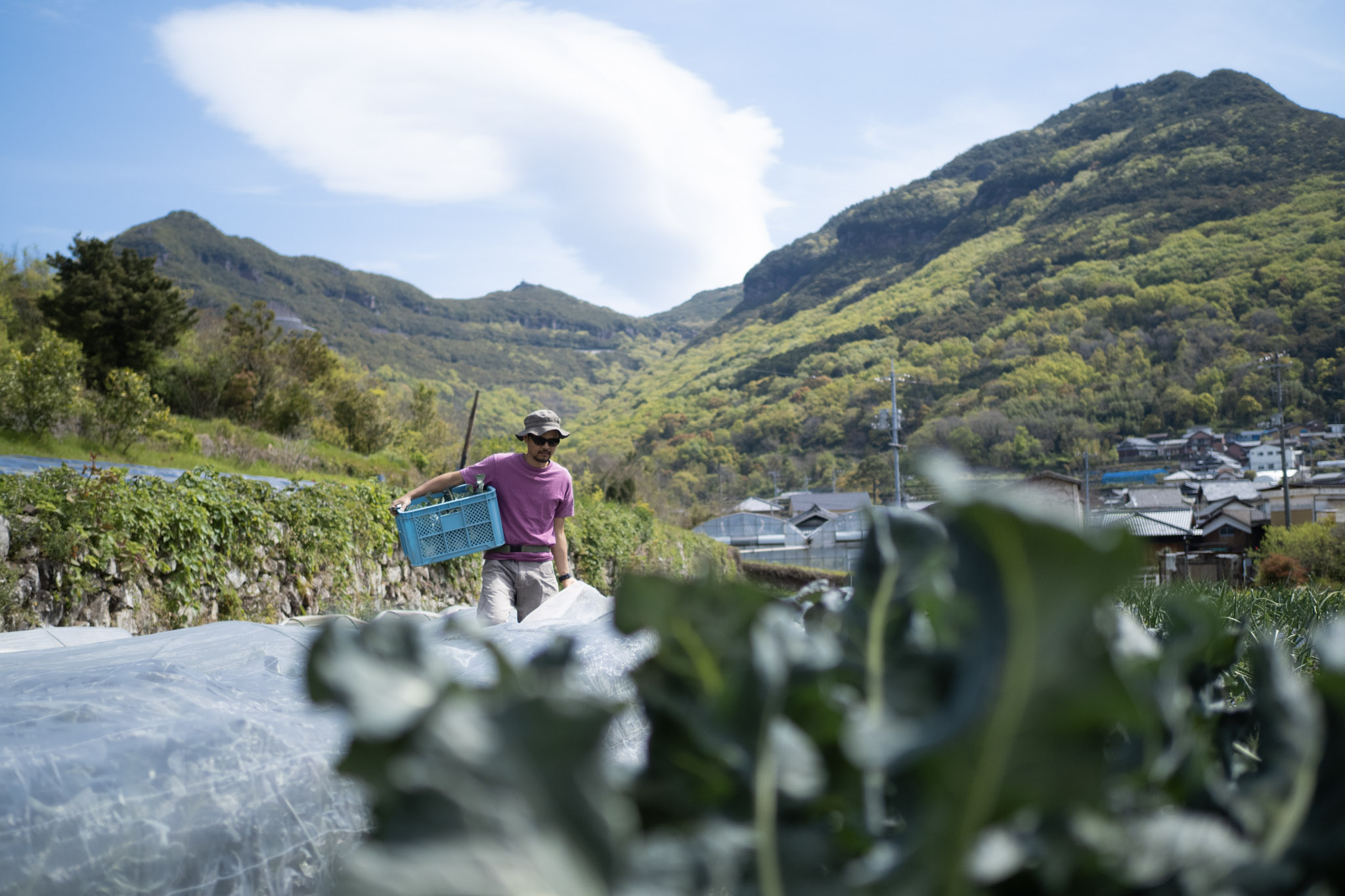 今週のHOMEMAKERS野菜（2026/4/6-4/12）